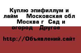 Куплю эпифиллум и лайм. - Московская обл., Москва г. Сад и огород » Другое   